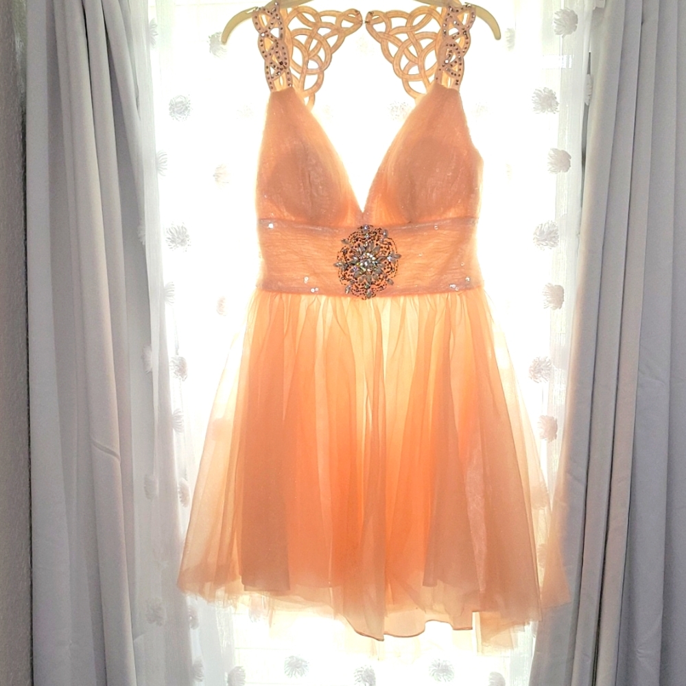 PEACHY 🍑 pink dream prom/party dress